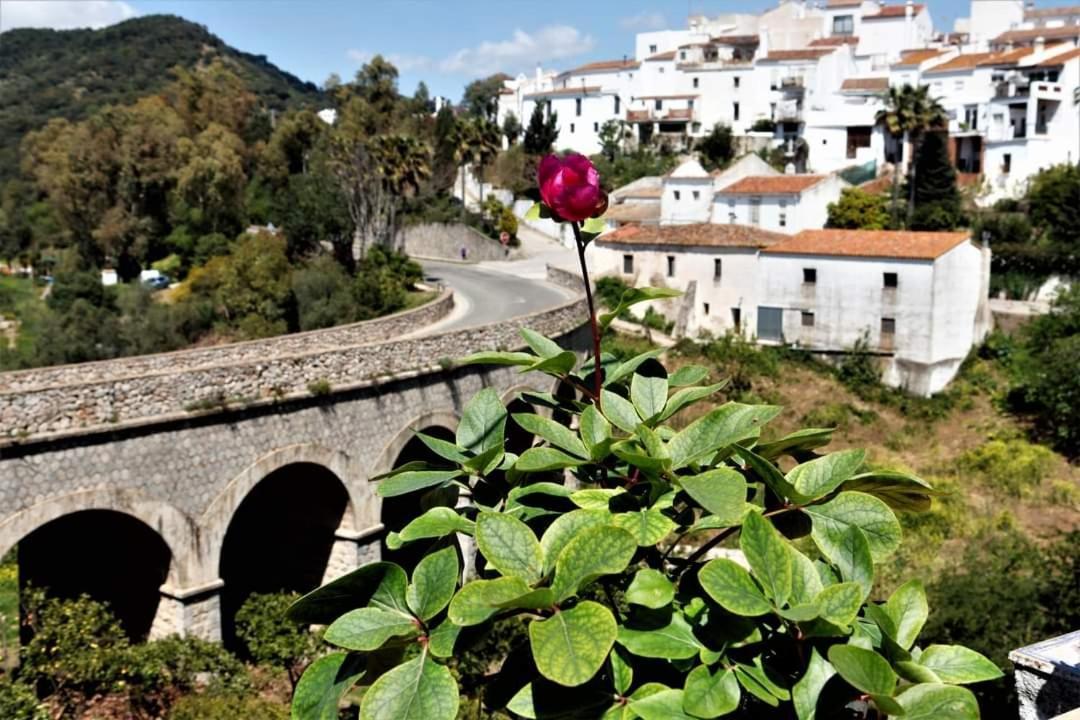 Casa Rural Sierras De Gaucin Apartment Exterior photo